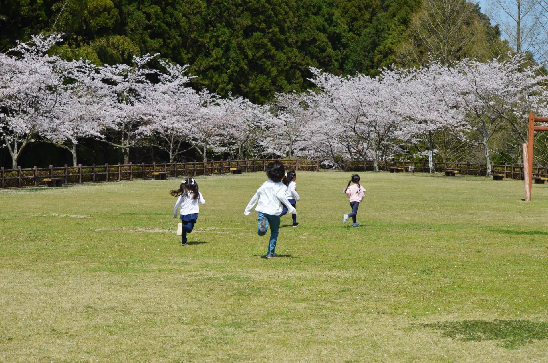 陽光公園で遊ぶ子ども